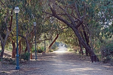 ...a romantic walk!