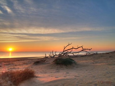 'Our Beach'