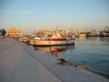 Santa Pola - boat trip or fishing?