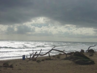 Our beach in the winter